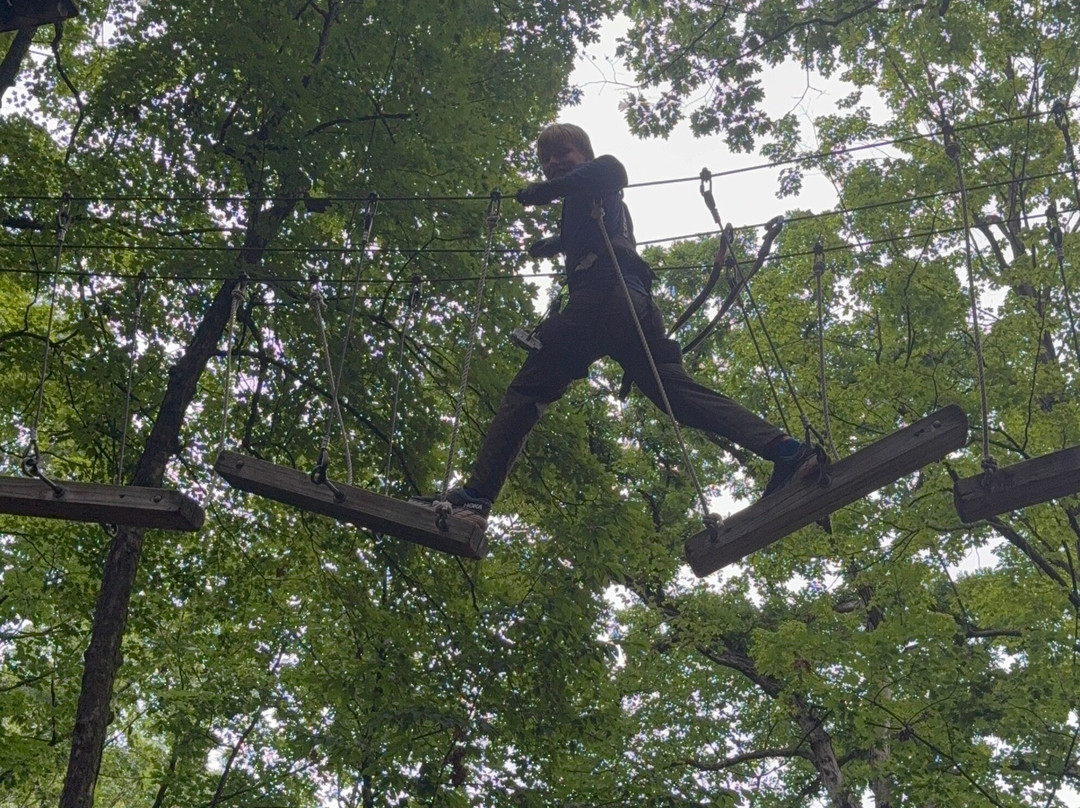 TreeRunner West Bloomfield Adventure Park-西布鲁姆菲尔德必去景点