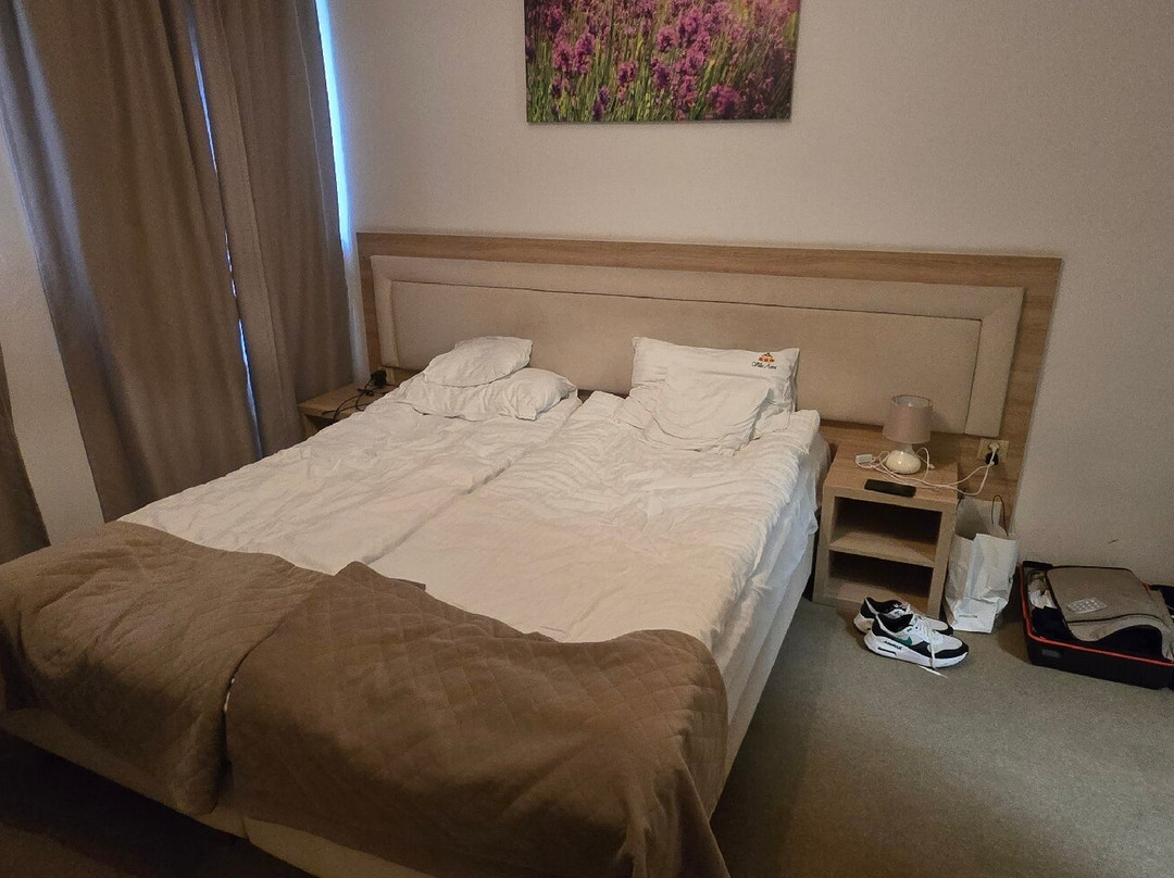 Villa Astra主图
