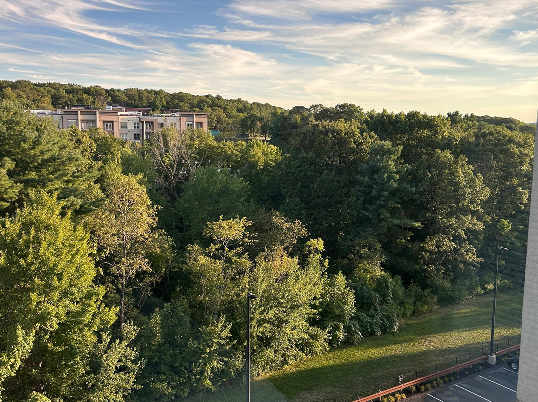 Hyatt Place Marlborough/Apex Center主图