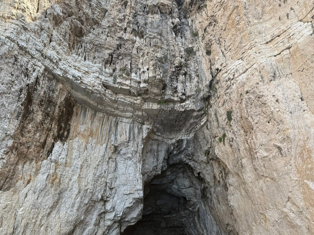 Allegria Corfu Boats-科孚必去景点