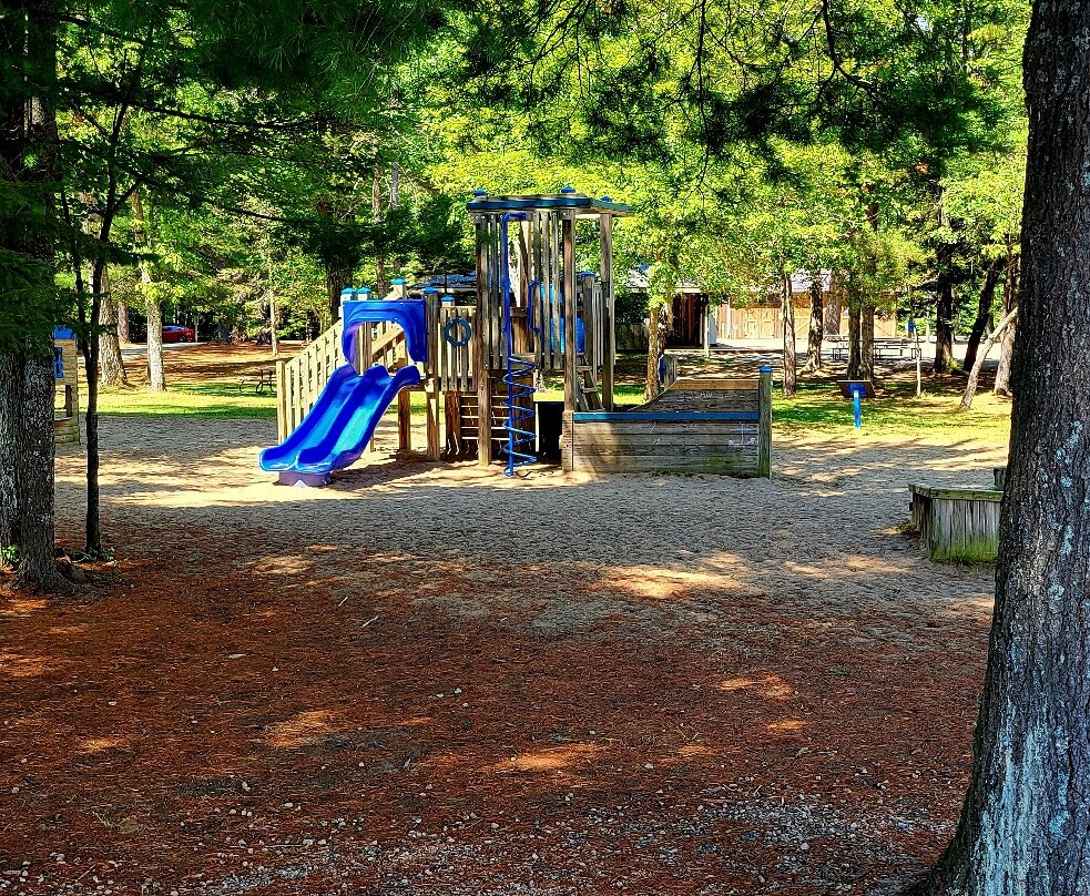 Bonnechere Provincial Park-Bonnechere必去景点