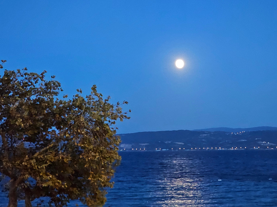 Hamzakoy Blue Park Boutique Hotel主图