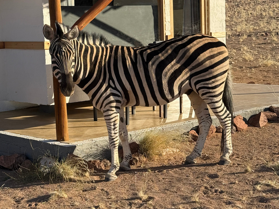 Desert Homestead Lodge主图