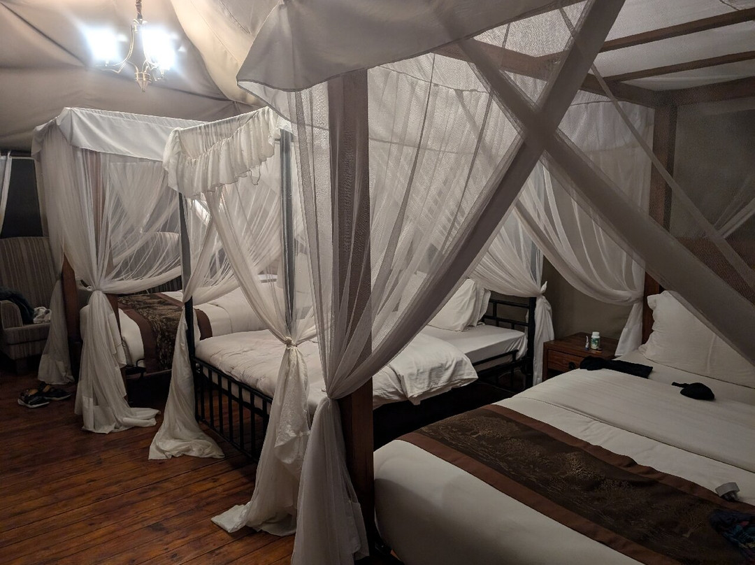 Matawi Serengeti Camp