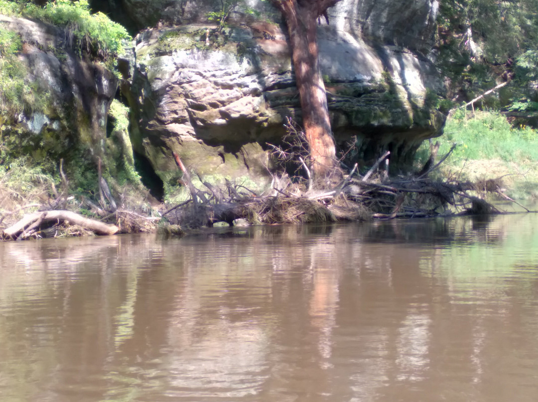 Titanic Canoe Rentals-Ontario必去景点
