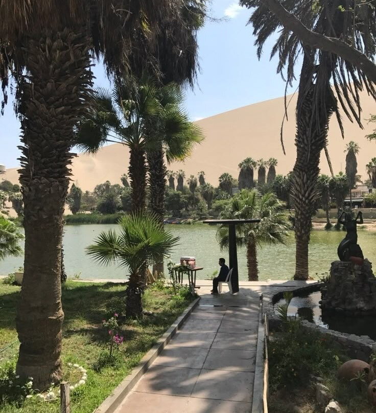 Huacachina Oasis-Huacachina必去景点
