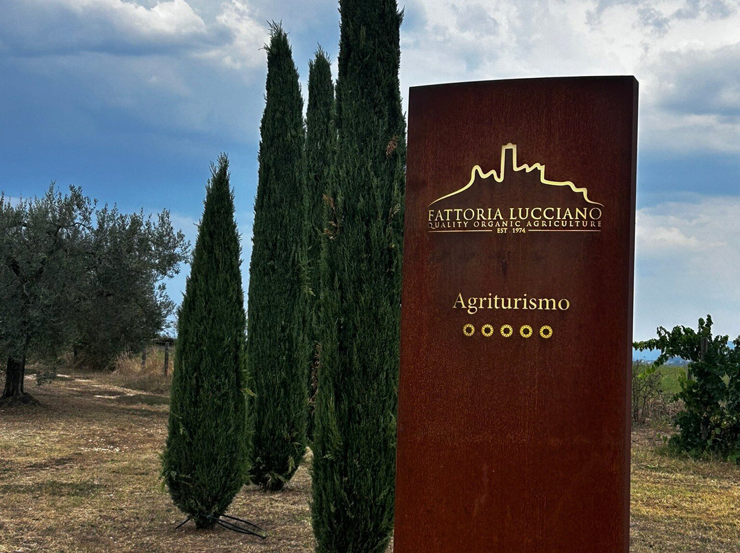 Fattoria Lucciano主图