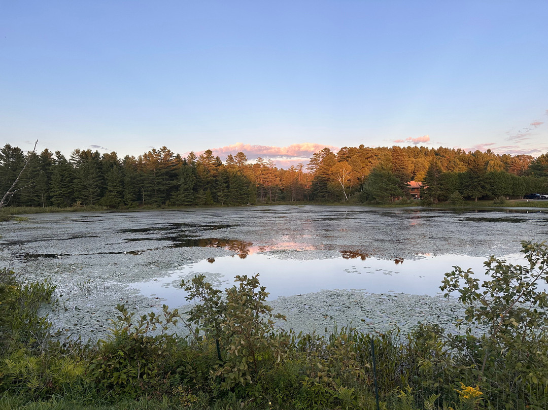 Saraplacid Inn & Suites主图