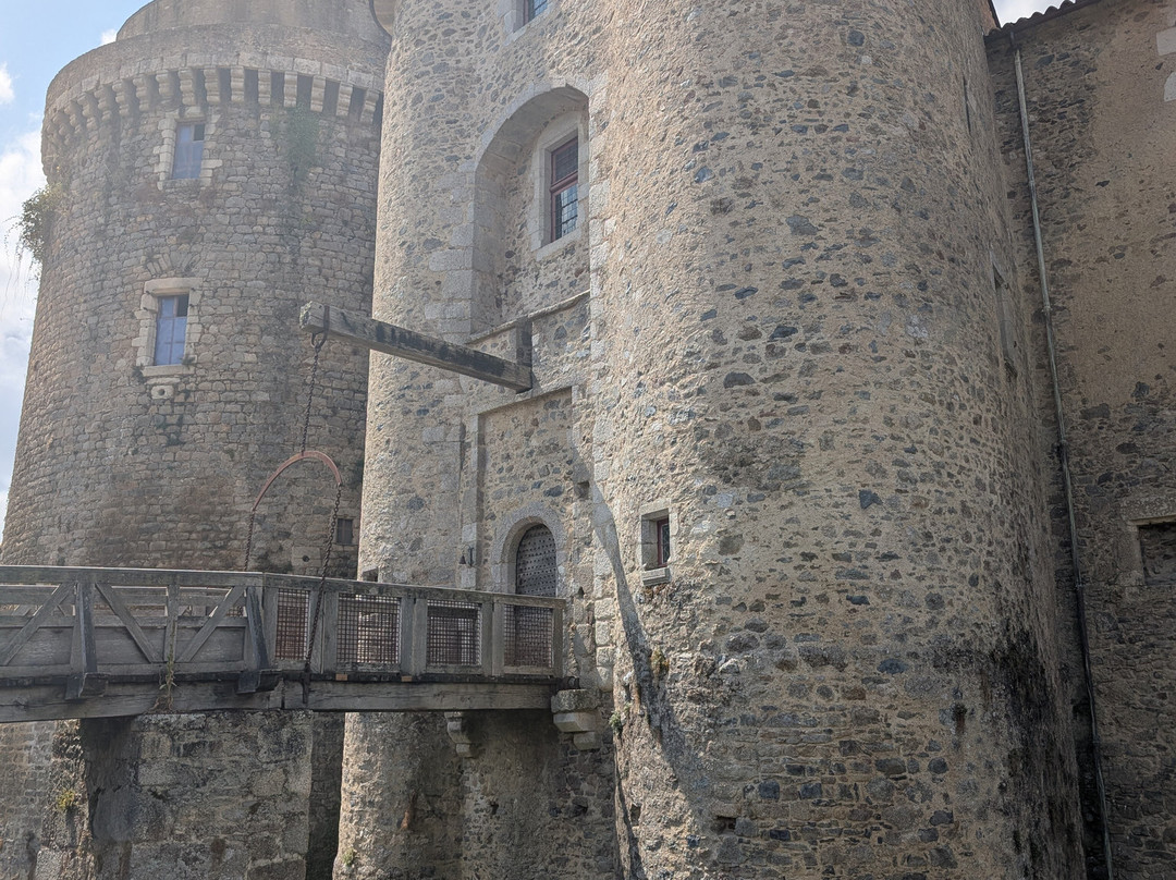 Château Saint Mesmin-Saint-Andre-sur-Sevre必去景点