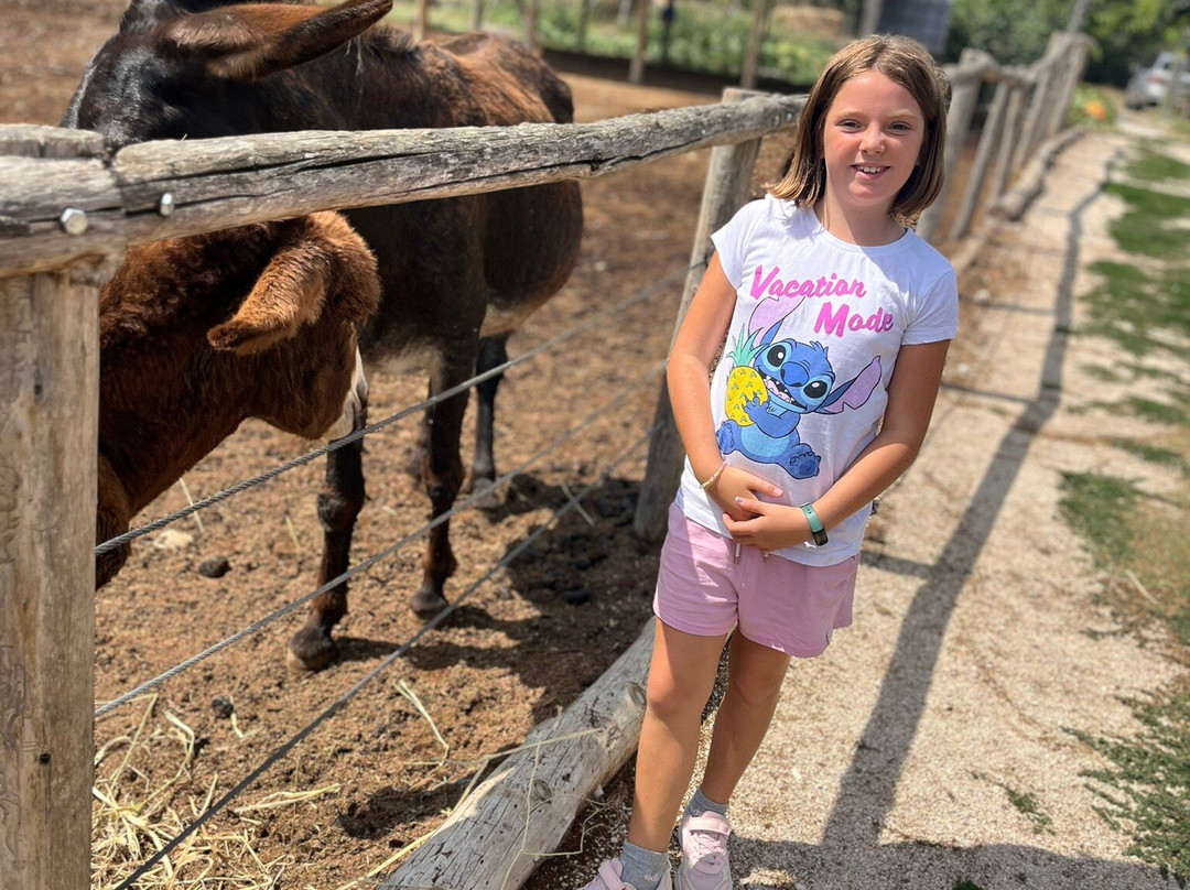 Fattoria Valle Magica-Carapelle Calvisio必去景点