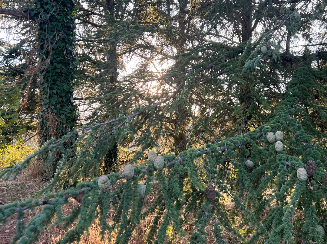 Château du Besset主图