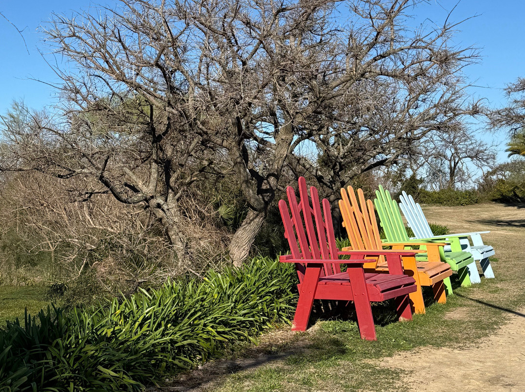 Sheraton Colonia Golf & Spa Resort主图