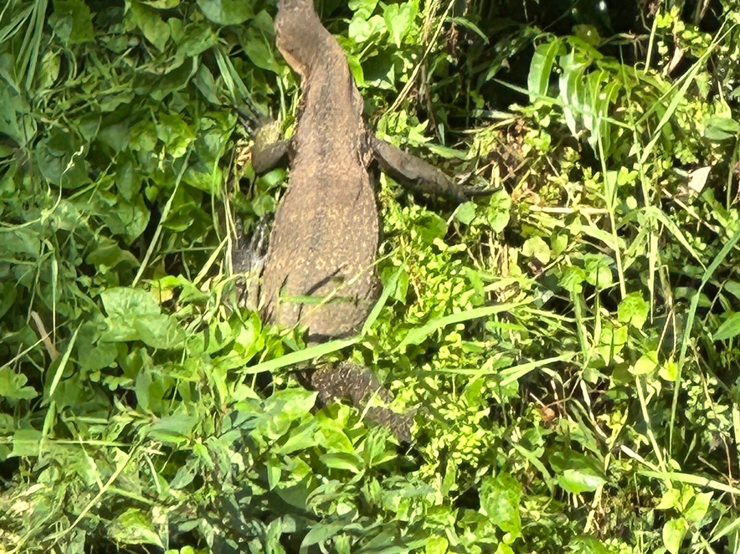 Melaka On Bike - Day Tours-马六甲必去景点