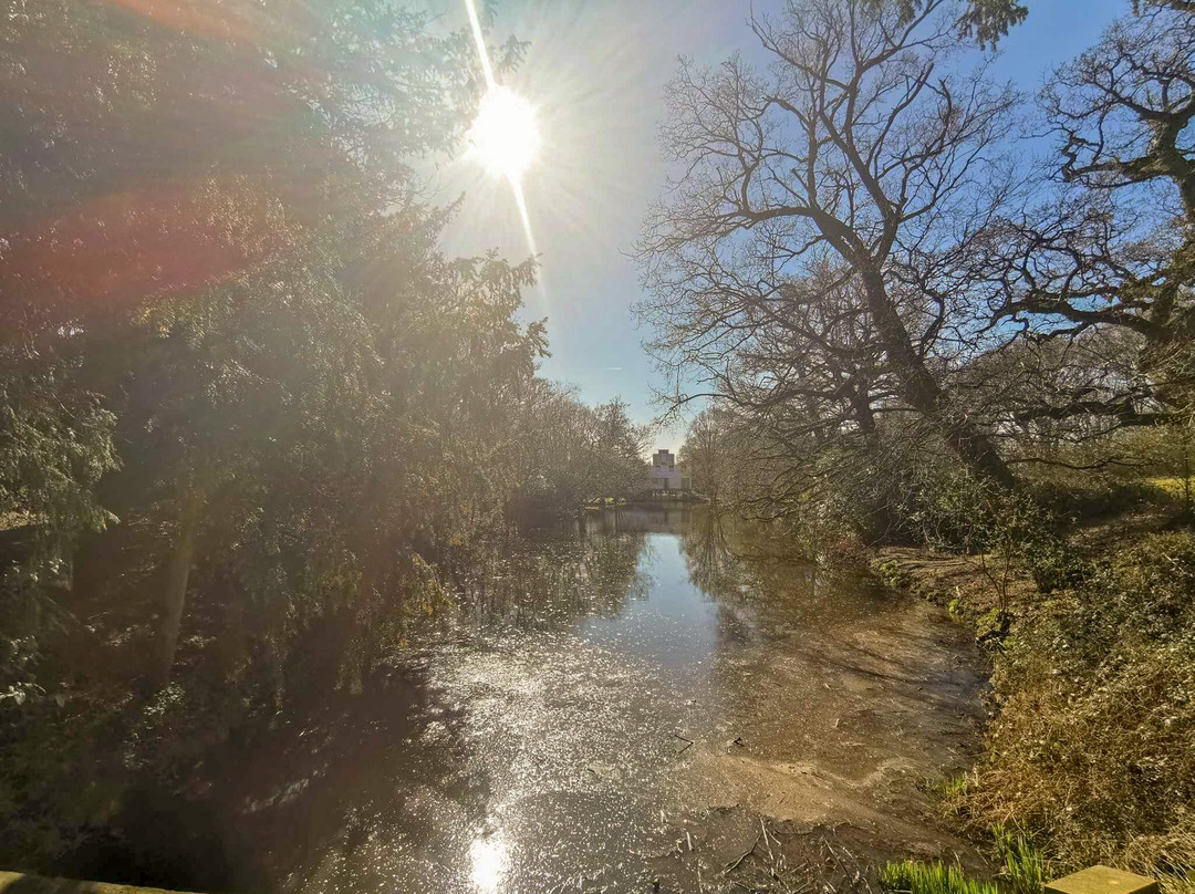 Wivenhoe Park