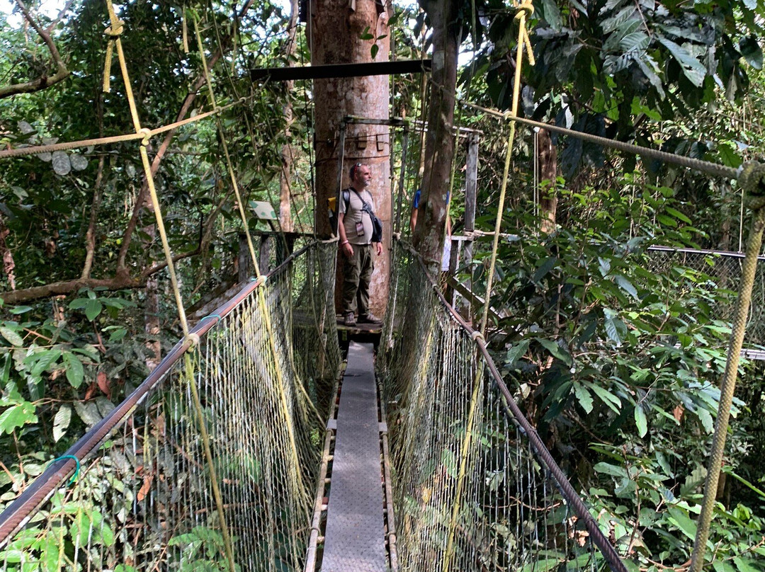 Mulu Skywalk-姆鲁国家公园必去景点