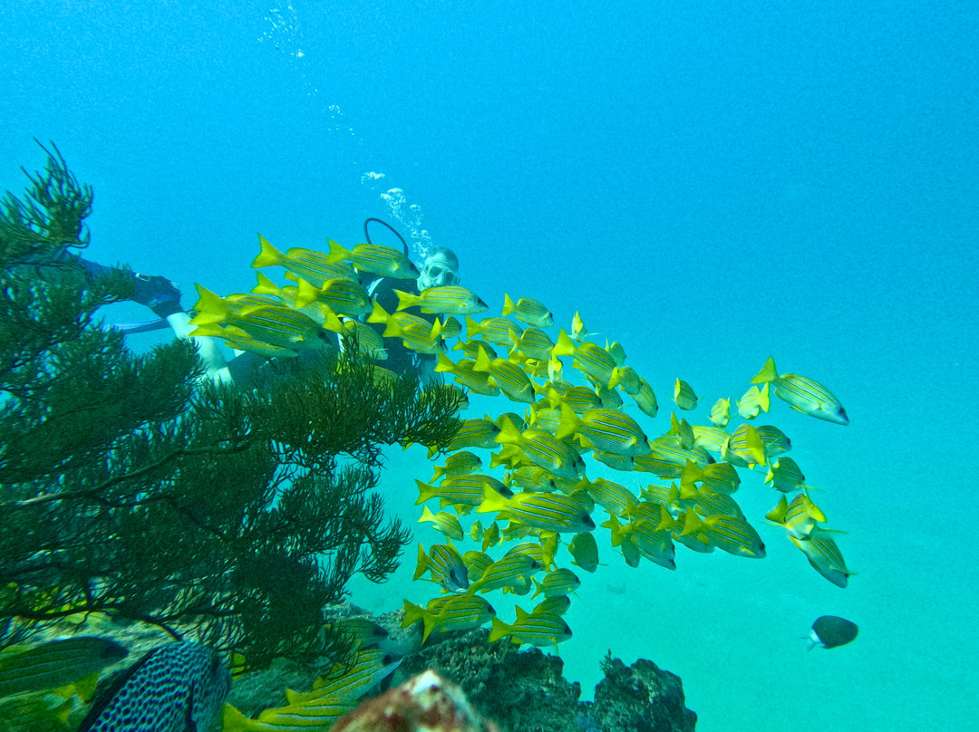 Maritim Diving Centre-巴拉克拉瓦必去景点