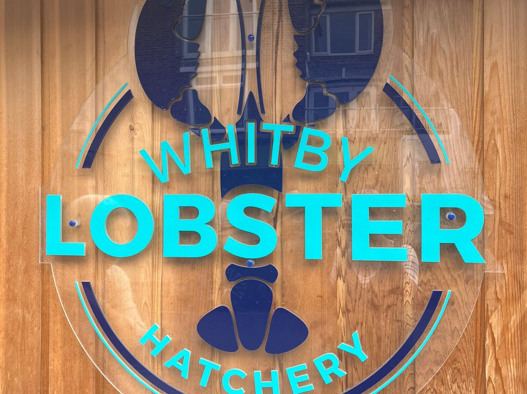 Marine Discovery Centre & Whitby Lobster Hatchery-惠特比必去景点