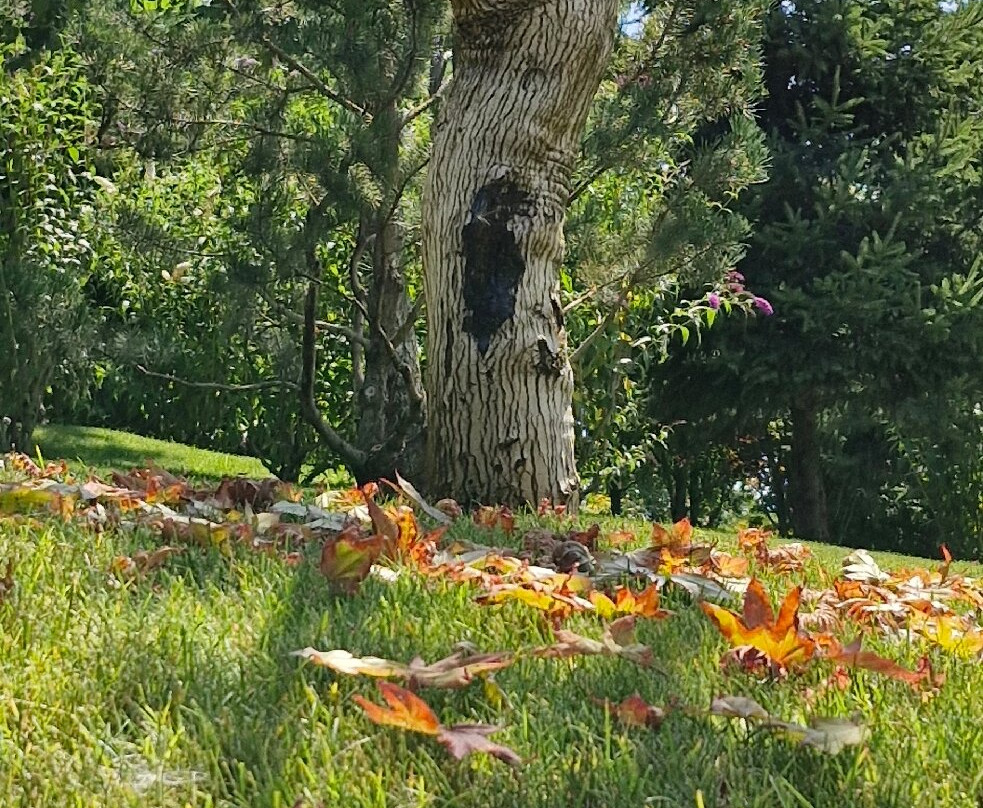 Krasnodar Park-克拉斯诺达尔必去景点