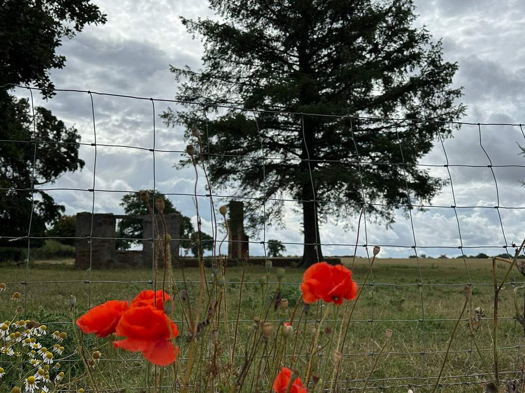 Upottery Airfield Heritage Centre-Smeatharpe必去景点