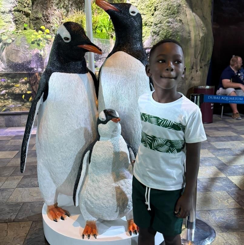 Steadfast Safaris-坎帕拉必去景点