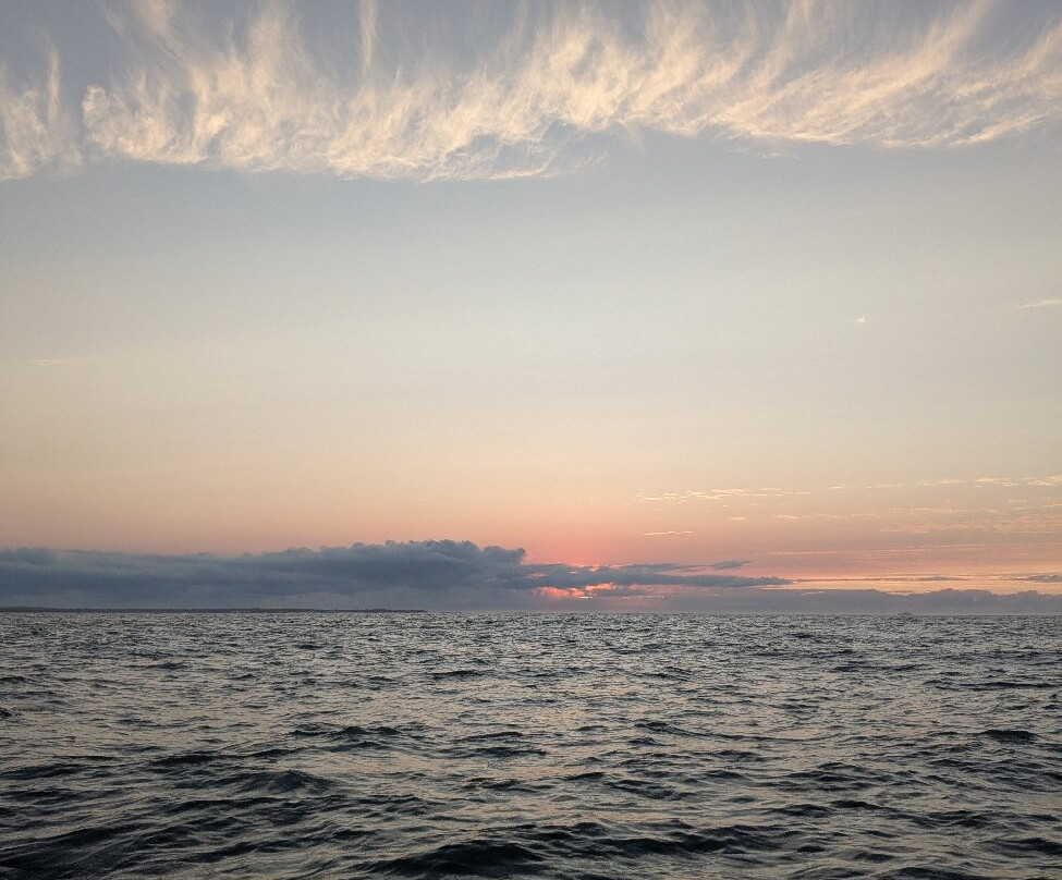 CROISIERES COTE DE BEAUTE-Meschers-sur-Gironde必去景点