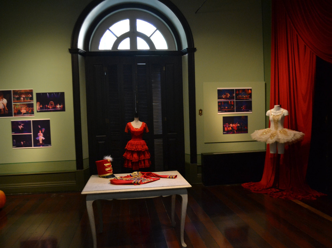 Palacio Rio Negro-玛瑙斯必去景点