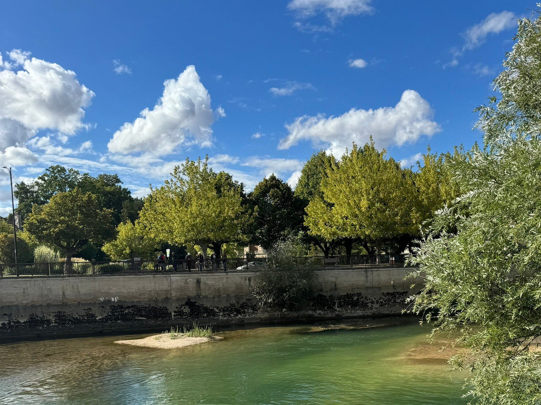 Plage D'arcis Sur Aube
