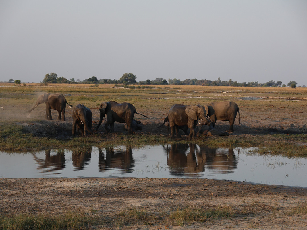 Kalahari Tours-Kazungula必去景点