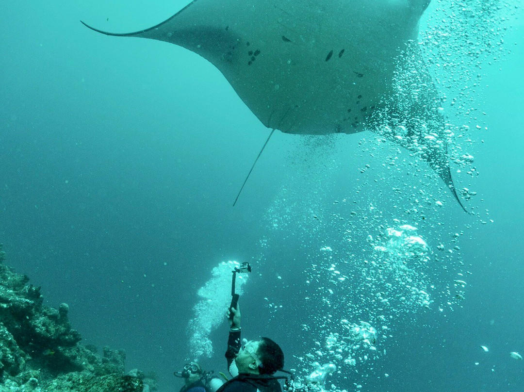 Euro-Divers Kurumba-库鲁巴椰子岛必去景点