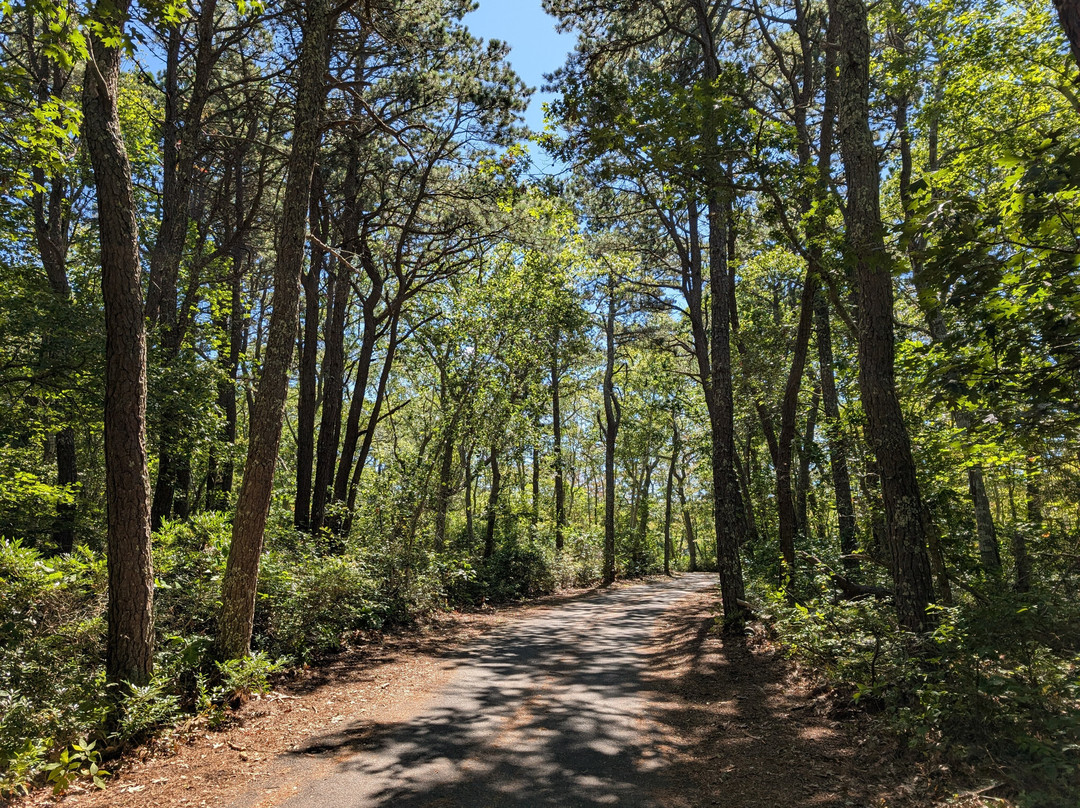 Cape Cod Provincelands Trail-普罗温斯敦必去景点