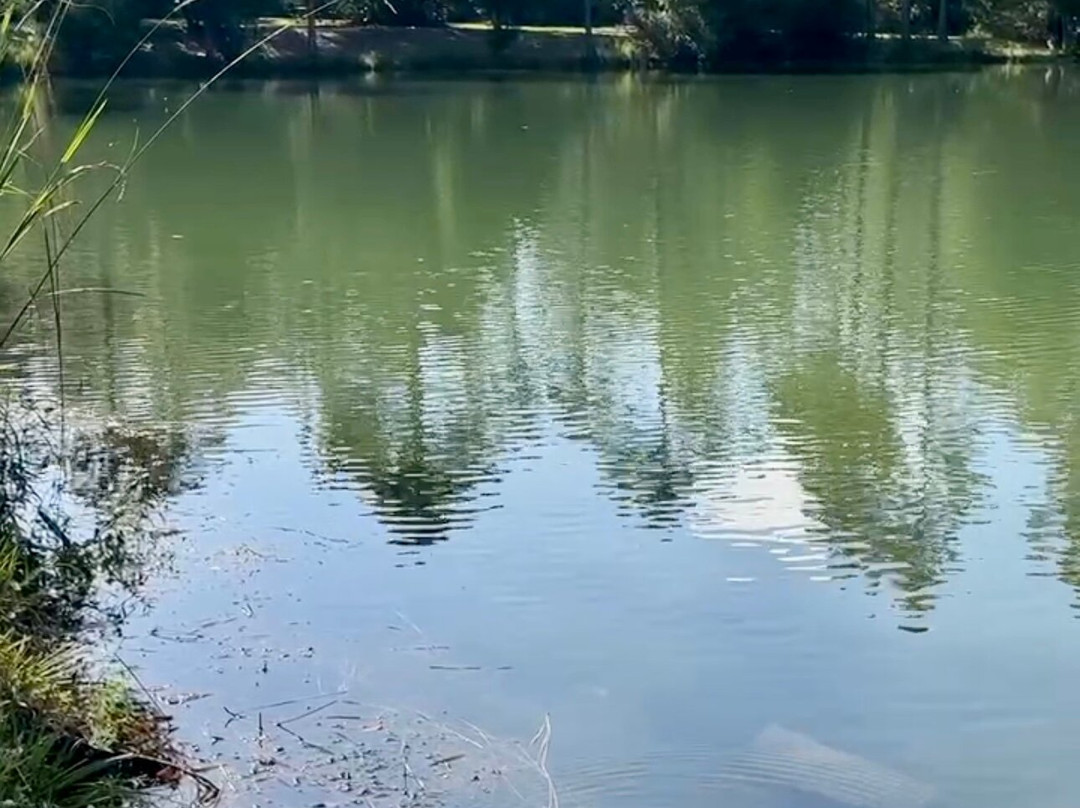 Blackwater Joe's-Holt必去景点