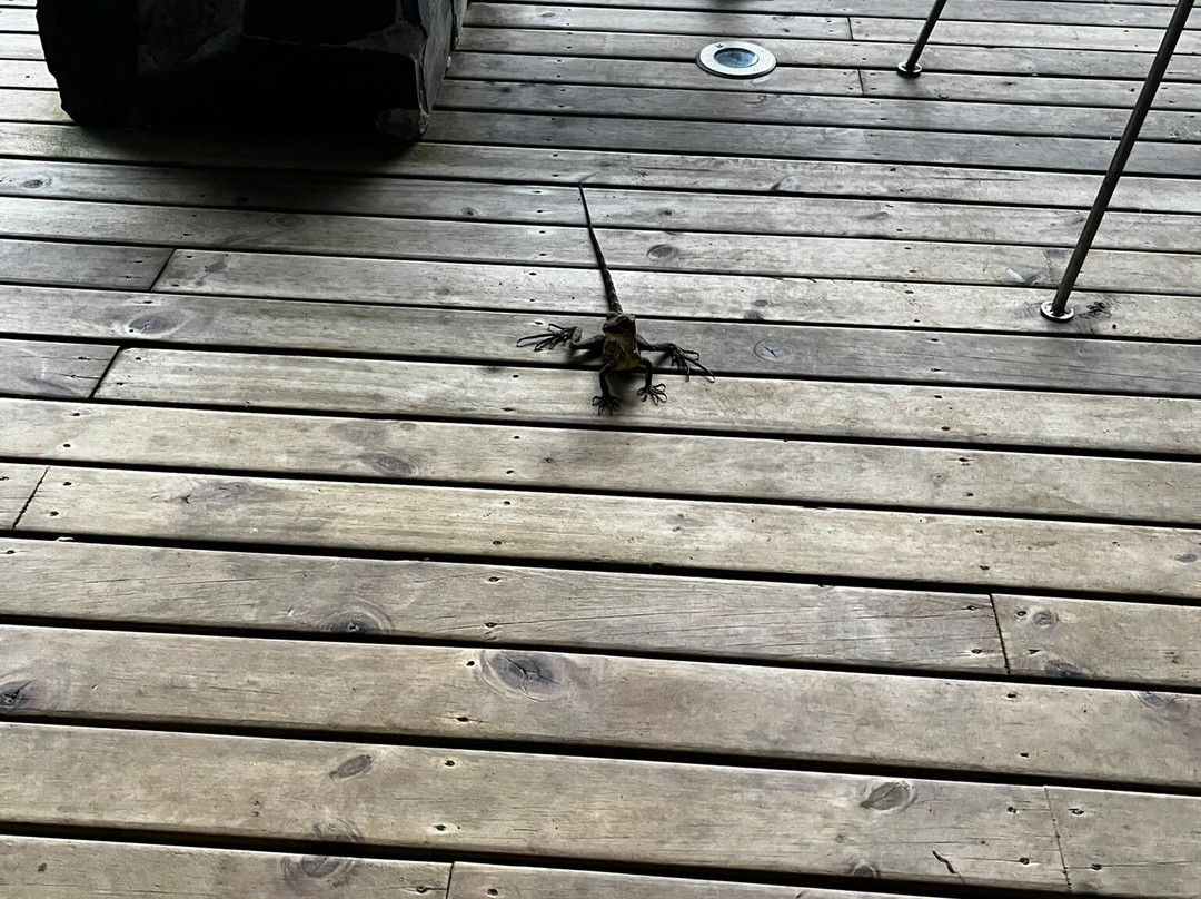 Ecolodge El Almejal主图