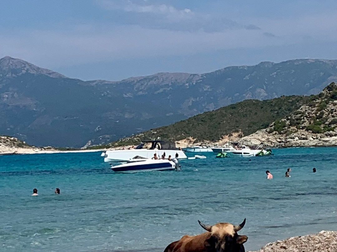 Taxi-plages-Saint Florent必去景点