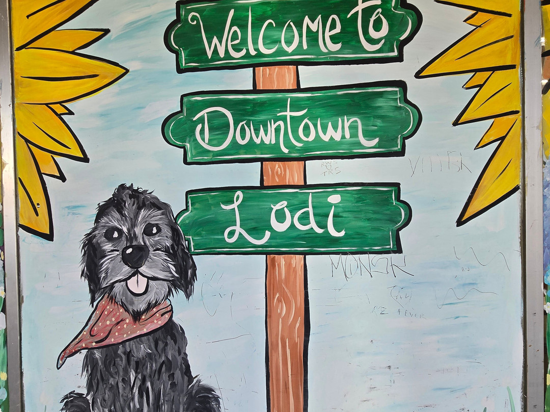 Lodi Mission Arch-洛迪必去景点