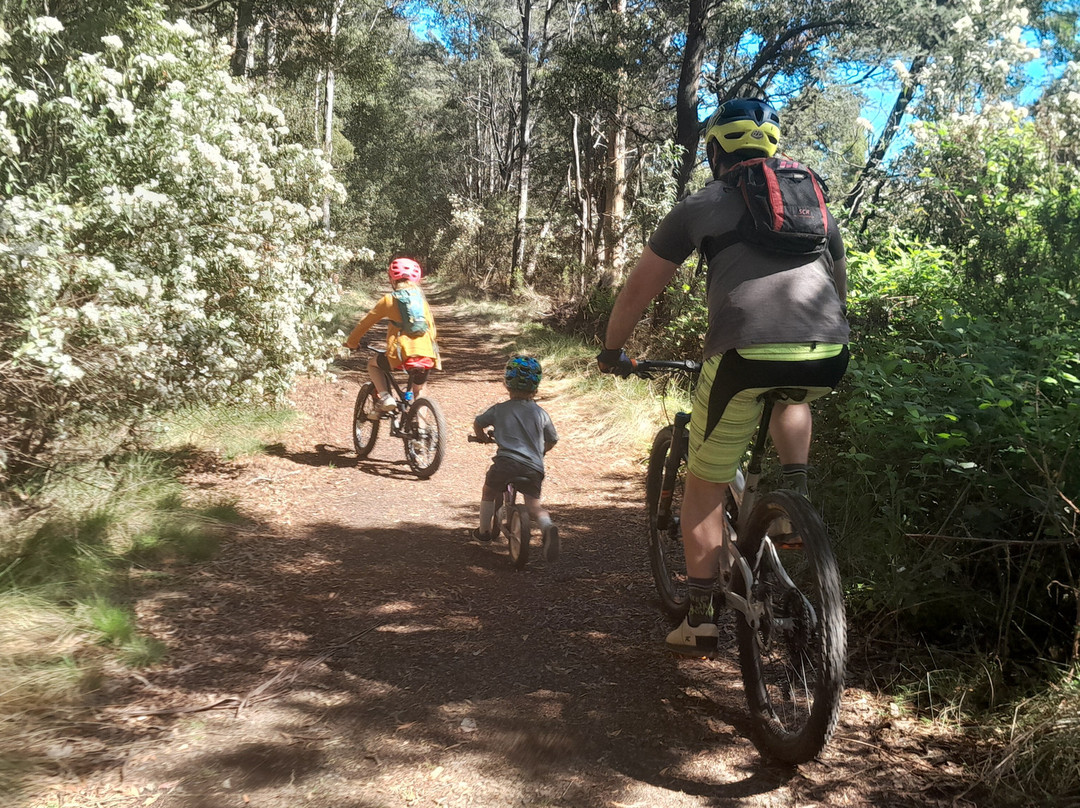 North East Tasmania Rail Trail-Scottsdale必去景点