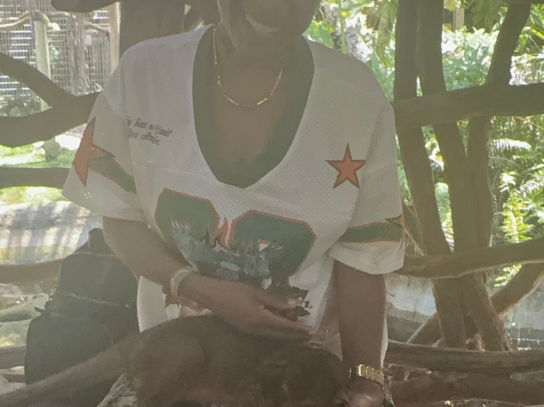 ZWF野生动物园-迈阿密必去景点