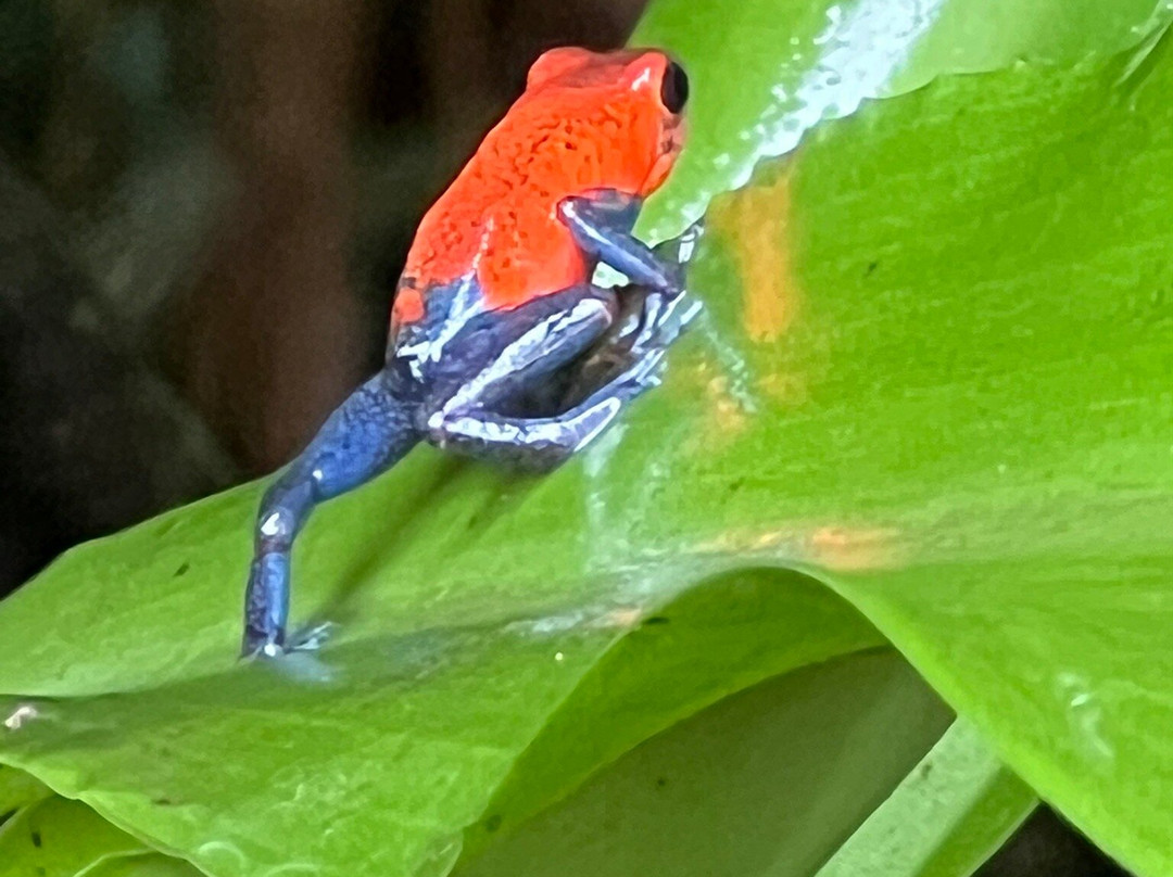 Royal Service Tours-利比里亚必去景点