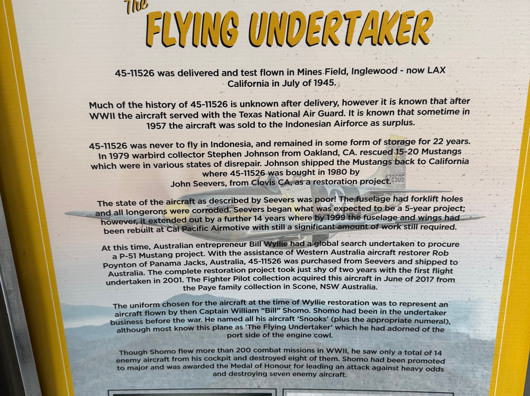 Fighter Pilot Adventure Flights-布里斯班必去景点