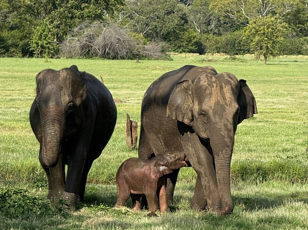 Bliss Lanka-Athurugiriya必去景点