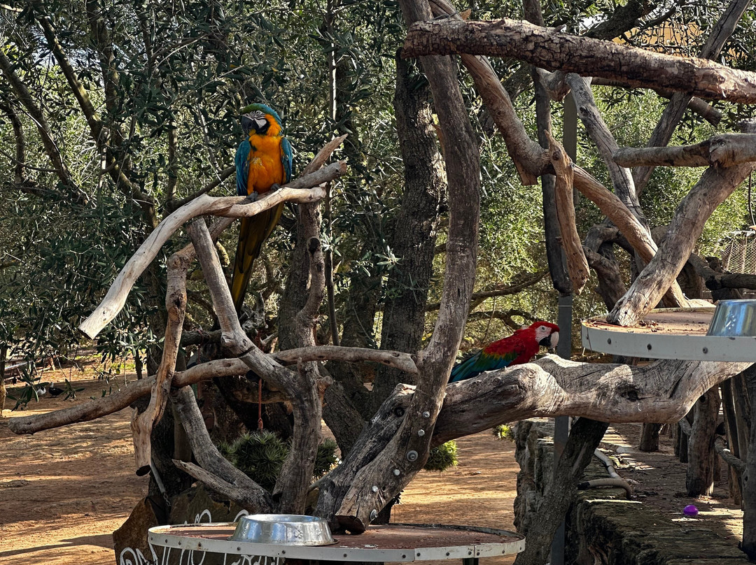 Rancho Grande Park-Son Serra de Marina必去景点