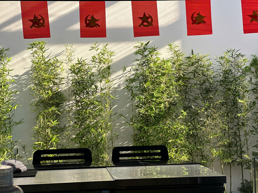 Carambola Lounge & Wellness