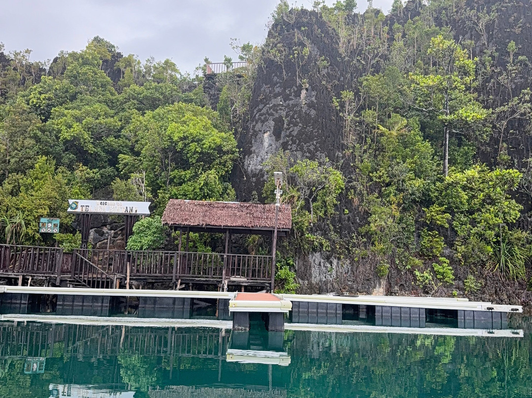 Cruising Raja Ampat - Wisesa Liveaboard-索龙必去景点