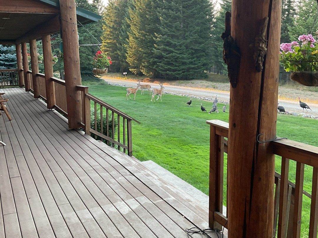 Log Spirit Bed and Breakfast主图