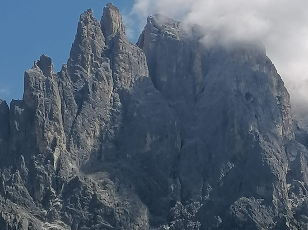 Parco Paneveggio - Pale di San Martino-普雷达佐必去景点