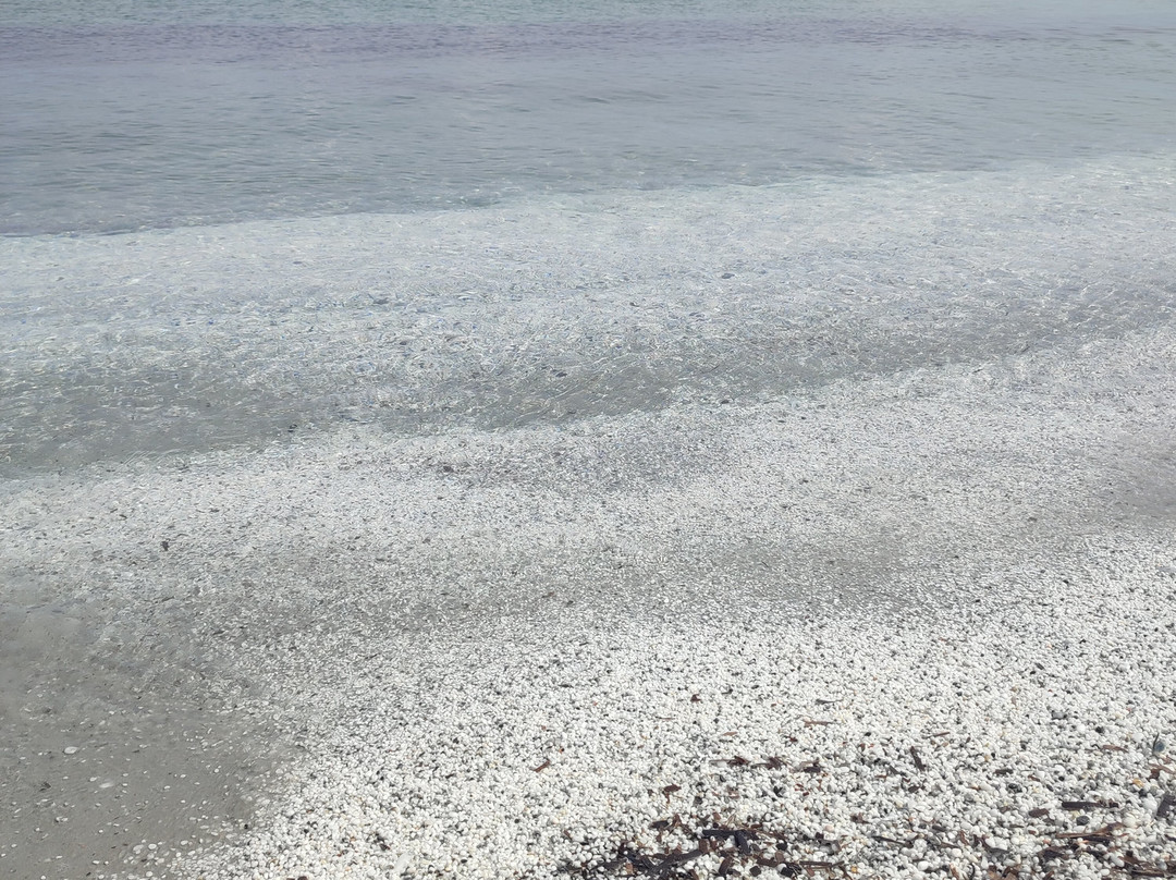 Spiaggia Le Saline-斯廷蒂诺必去景点