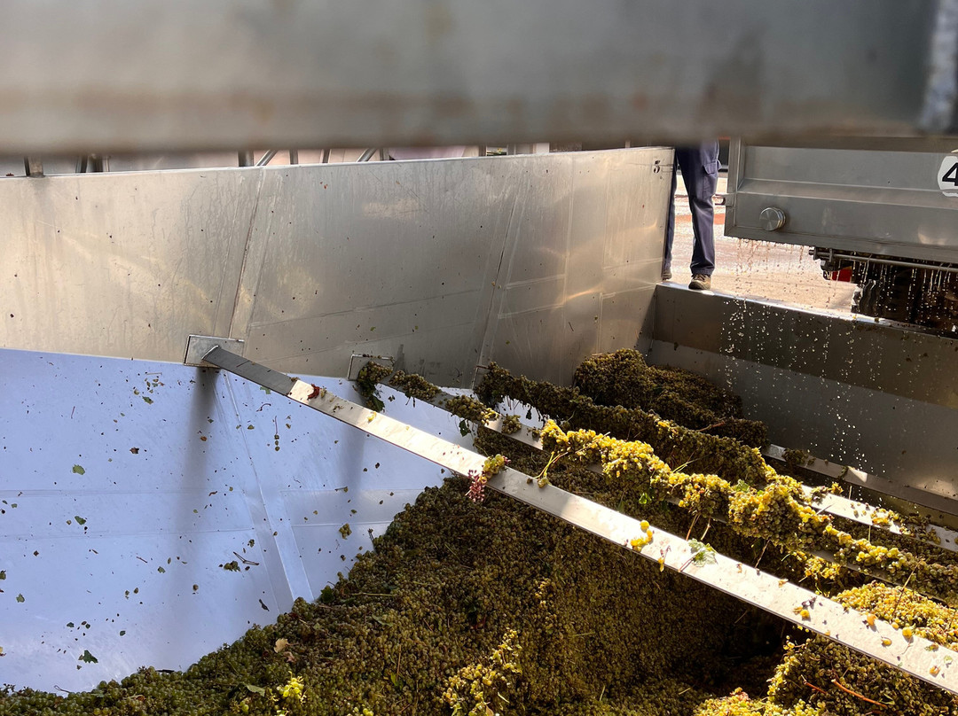 Adega de Palmela-Palmela必去景点