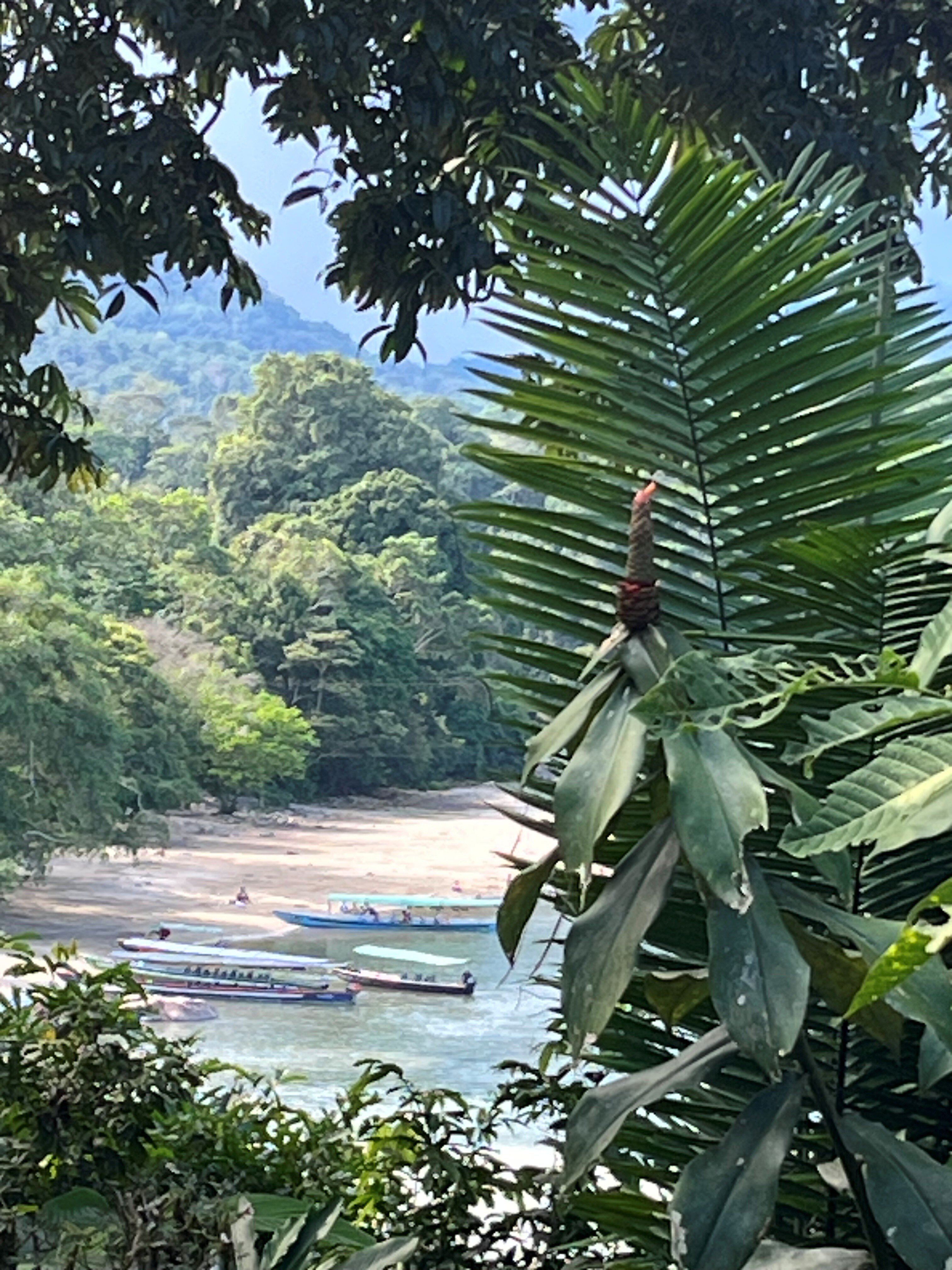 EL Jardín Lodge & Spa-官方