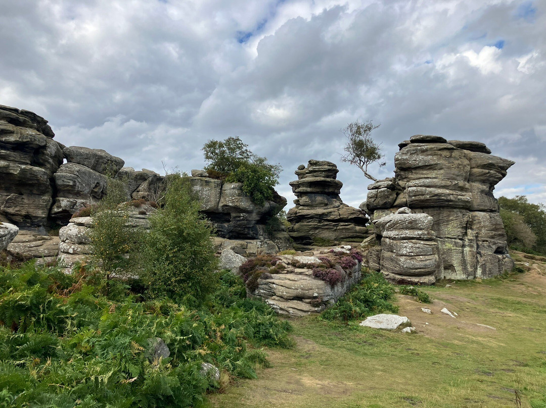 Brimham Rocks-哈罗盖特必去景点