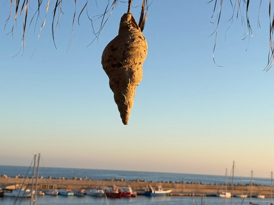 Mazu-Santa Maria di Leuca必去景点