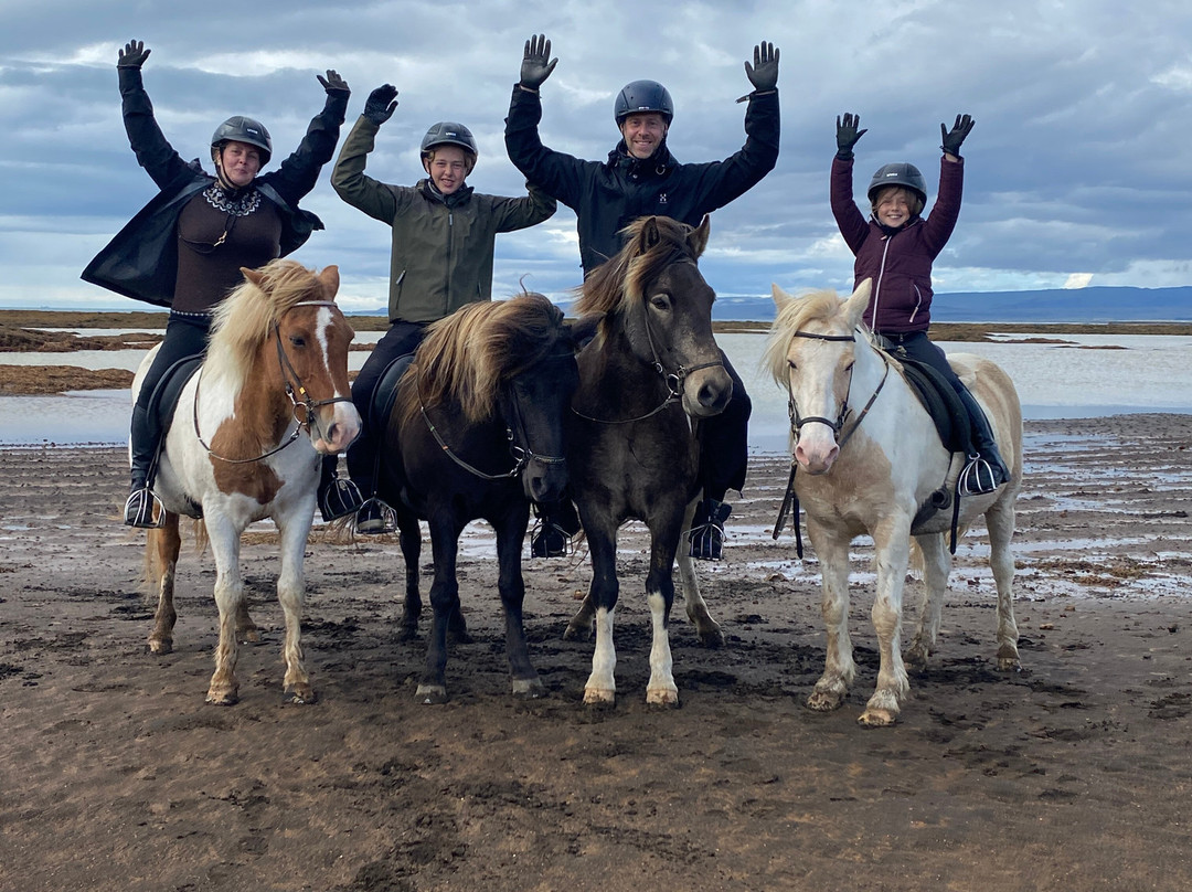 Bakkahestar-Eyrarbakki必去景点